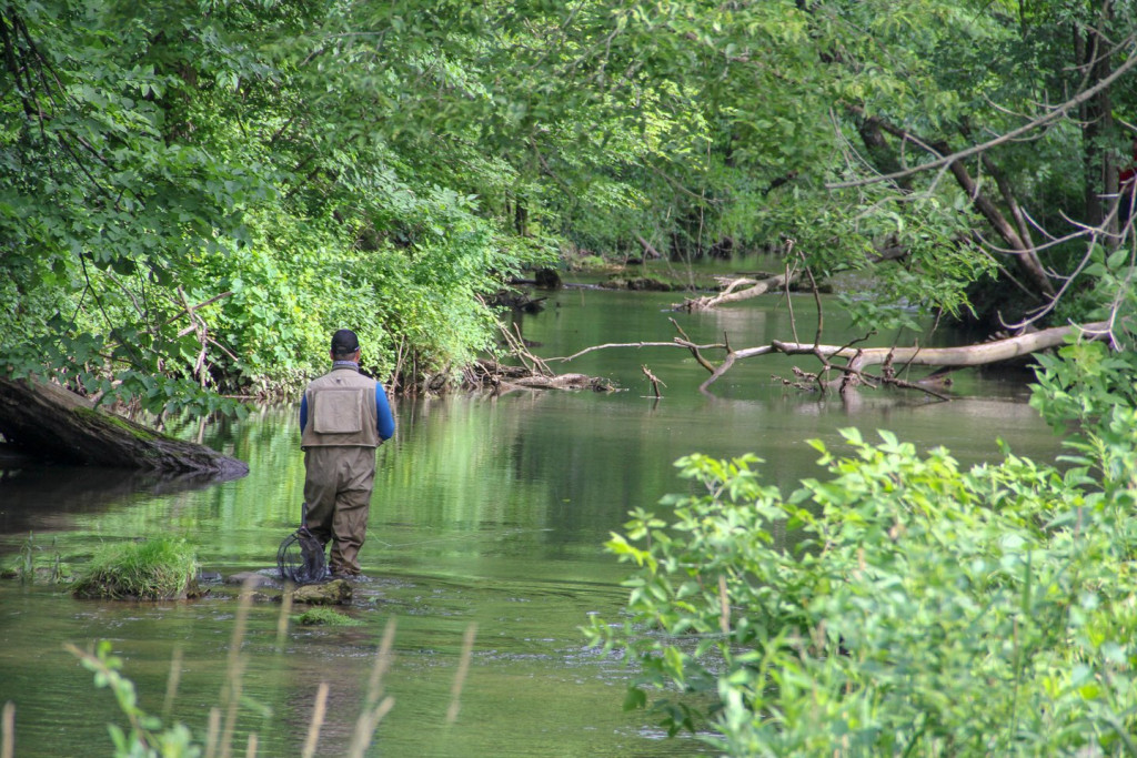 fishing backbone state park