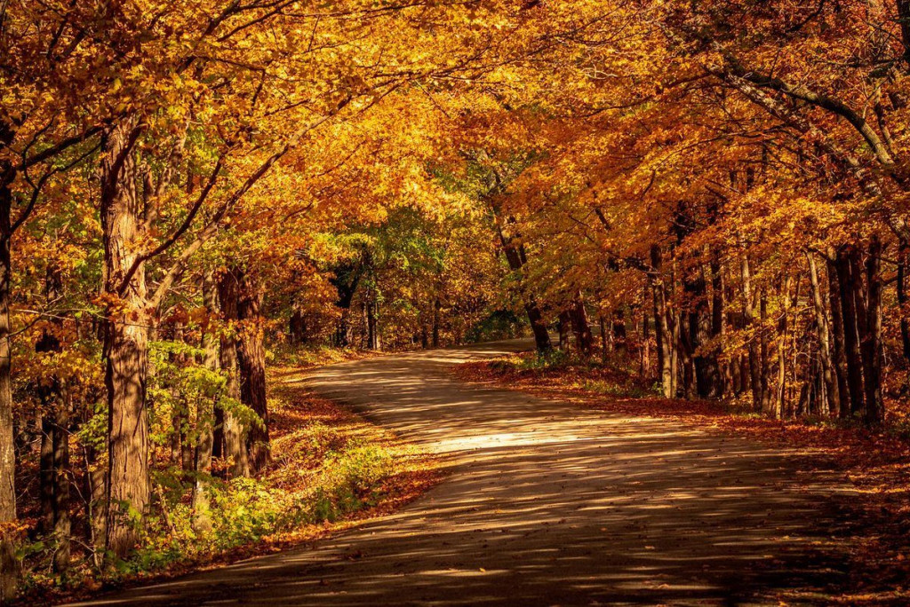 backbone state park